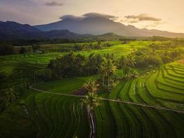 vista aérea de asia en campos de arroz indonesios con montañas al amanecer foto