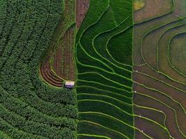 Aerial view of asia in indonesian rice field area with green rice terraces photo