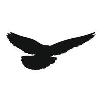 Silhouette of a soaring dove on a white background. Vector illustration.