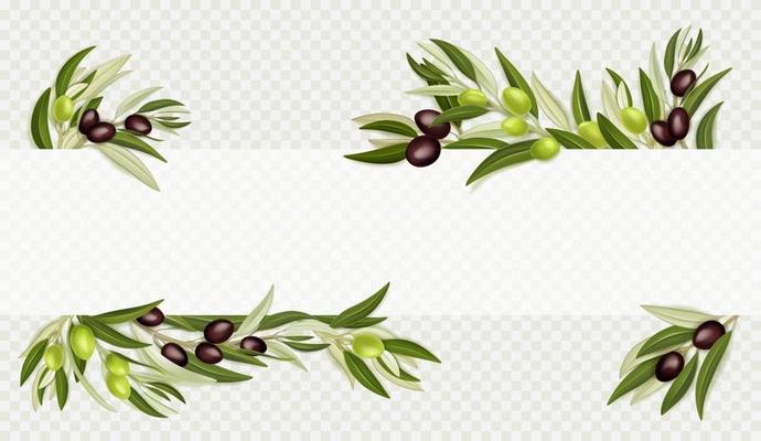 Olive Branch Vector Art, Icons, and Graphics for Free Download