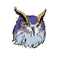 Realistic color drawing of an owl's head. For coloring. vector