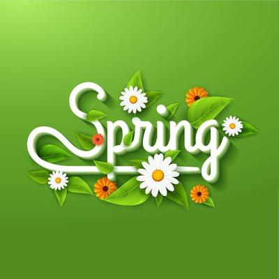 Fresh spring background poster with leafs, chamomile and flowers on green