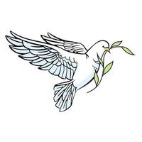 paloma blanca con una rama de olivo en el pico. trama cristiana. Aislado en un fondo blanco. estilo de dibujos animados vector