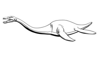 Plesiosaur in a linear style, ink drawing.Vector illustration. vector