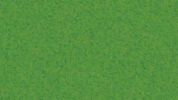 Green grass texture design. Ideal for wallpaper vector