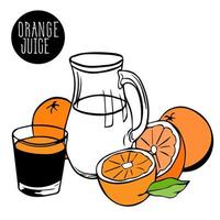 Oranges, mandarins whole and cut in half, slices with a jug of freshly squeezed juice containing Vitamin C. Ascorbic acid for the operation of the immune system. vector