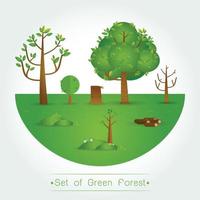 conjunto de bosque verde, árboles y arbustos vector