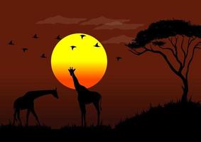 ilustración vectorial de la vida silvestre africana al atardecer con jirafa vector