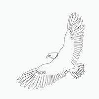 Eagle Line Art, Hawk Outline Drawing, Simple Sketch, Minimalist Bird, Animal Illustration, Graphic Design vector