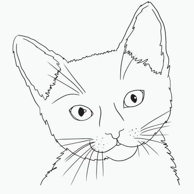 Cat Outline Vector Art, Icons, and Graphics for Free Download