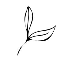 Flower Botanical plants. Doodle style.Logo icon. vector