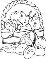 bayas de frutas en una canasta. manzanas, granadas, ciruelas. ilustración de fideos, libro de colorear para adultos y niños. vector