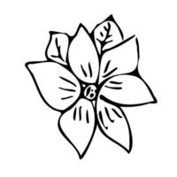 Flower Botanical plants. Doodle style.Logo icon. vector