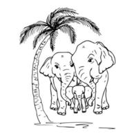 animales lindos familia de elefantes dibujando estilo garabato. logotipo de protección animal ecológica. vector