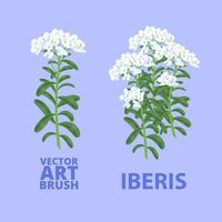 A ready-made Iberis art brush for painting a landscape. Vector illustration.