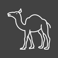 Beautiful Camel Line Vector Icon