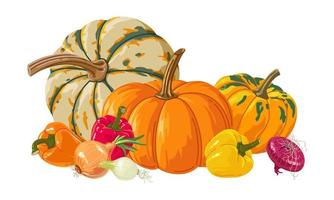Bodegón de verduras de otoño, calabaza, pimiento y cebolla. ilustración vectorial vector