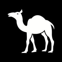 hermoso icono de vector de glifo de camello