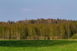 Latvian Springtime Landscapes photo