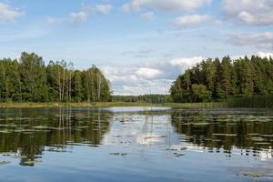 Latvian lake landscapes in summer photo