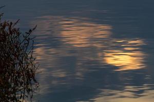 Swamp lake in Springtime photo