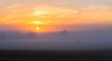 Latvian summer landscapes photo