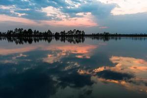 Swamp lake in Springtime photo