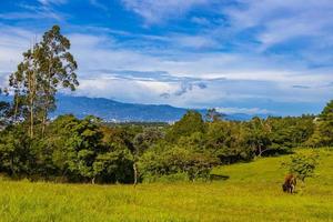 Beautiful mountain landscape city panorama forest trees nature Costa Rica. photo