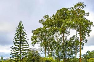 Beautiful mountain landscape city panorama forest trees nature Costa Rica. photo