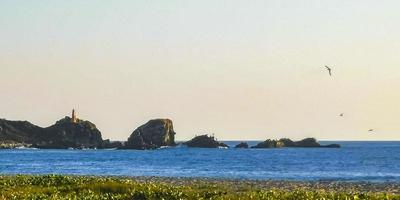 Nature cliffs rocks meadow beach waves palm in Zicatela Mexico. photo