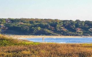 Nature cliffs rocks meadow beach waves palm in Zicatela Mexico. photo