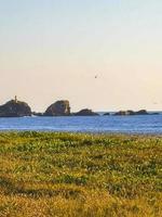 naturaleza acantilados rocas pradera playa olas palmeras en zicatela mexico. foto