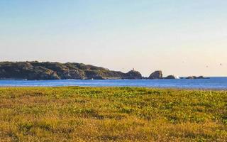 Nature cliffs rocks meadow beach waves palm in Zicatela Mexico. photo