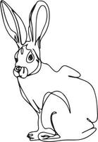 Rabbit Line Art vector illustration