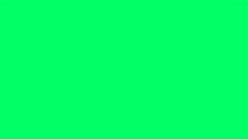 solid lime green background