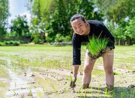 Amateur Asian man tests and tries to transplant rice seedlings in paddy rice field in the open sky day. photo