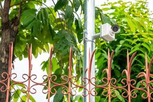 CCTV camera is installed in the garden with blur green tree background for monitor and safety system control around that area. photo