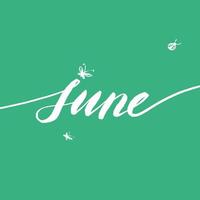 Brush lettering - June word. June conceptual text with flying insects. June handwritten text vector illustration for poster, card, banner, design template. Summer month.