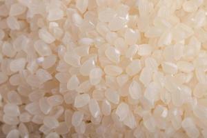 Raw Japanese rice grains, Japonica rice grains. photo