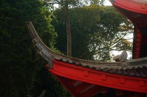 Architecture of Chinese Temple photo