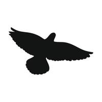 Bird in flight in silhouette style on a white background. Vector illustration.