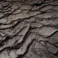 mud or soil wet texture photo