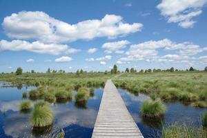 Footpath in Hohes Venn or Hautes Fagnes Moor Nature Reserve in the Eifel, Germany and Belgium photo