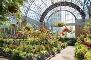 el jardín de invierno del dominio de auckland es un tesoro de gran interés histórico. fue diseñado a principios de 1900 al estilo de los famosos ingleses. foto