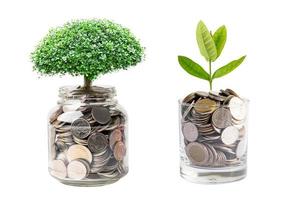 Tree plumule leaf on save money coins, Business finance saving banking investment concept. photo