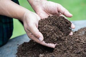 Hand holding peat moss organic matter improve soil for agriculture organic plant growing, ecology concept.