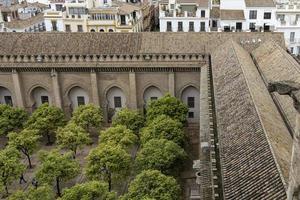 azotea de la catedral de sevilla foto