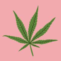 simplicity cannabis leaf freehand drawing flat design. vector