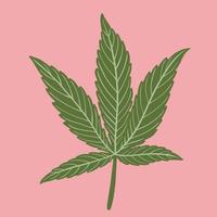 simplicidad hoja de cannabis dibujo a mano alzada diseño plano. vector