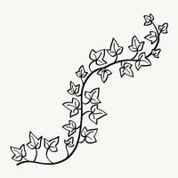 Floral ivy drawing decorative ornament flat design. vector